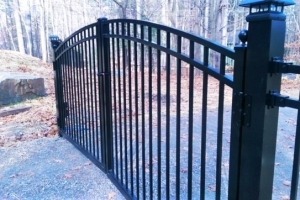 Alum Contemp Arched Gate2